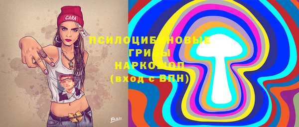 дживик Няндома