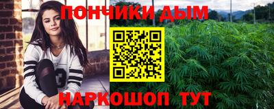 мдпв Бийск