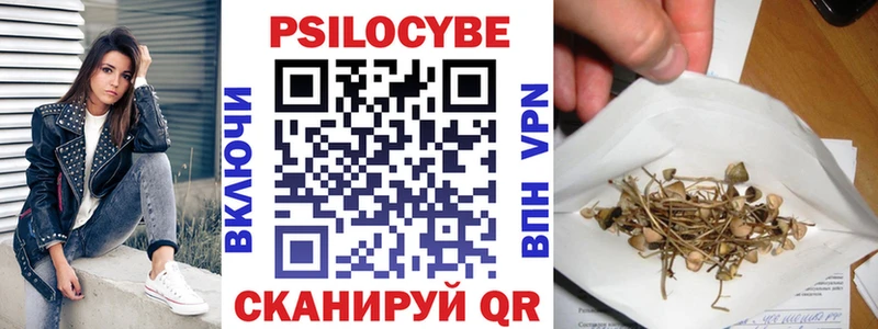 где продают наркотики  Кузнецк  Псилоцибиновые грибы мухоморы 