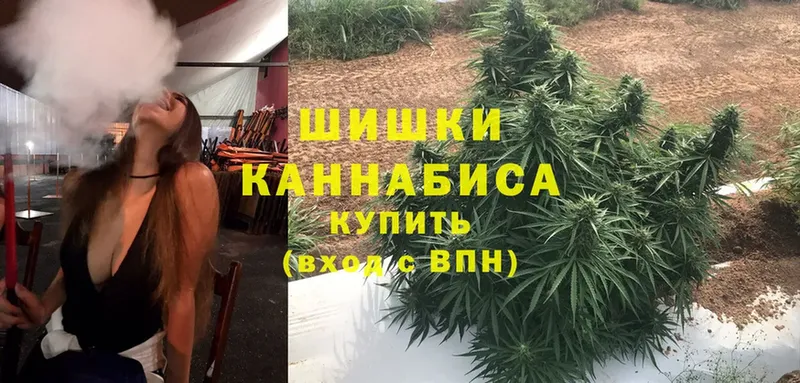 продажа наркотиков  Кузнецк  MEGA сайт  Бошки марихуана Amnesia 