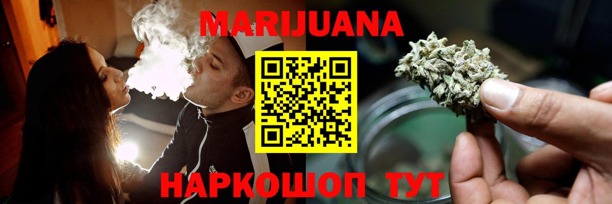 Каннабис планчик Кузнецк